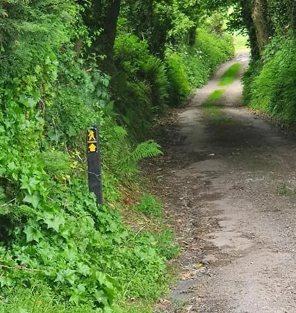 Ferienhaus Orchard Wexford